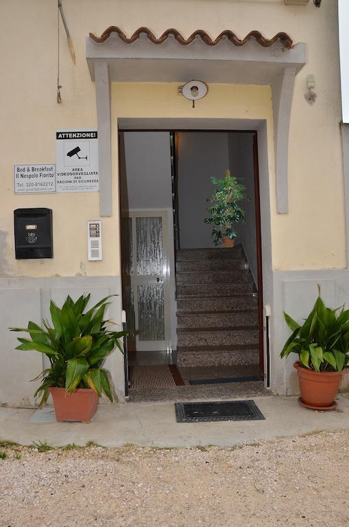 오로세 Domo - Guest-House Il Nespolo Fiorito B&B 외부 사진